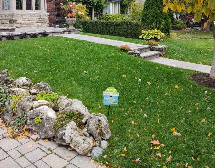 LawnSavers Plant Health Care - Lawn Care Services Toronto