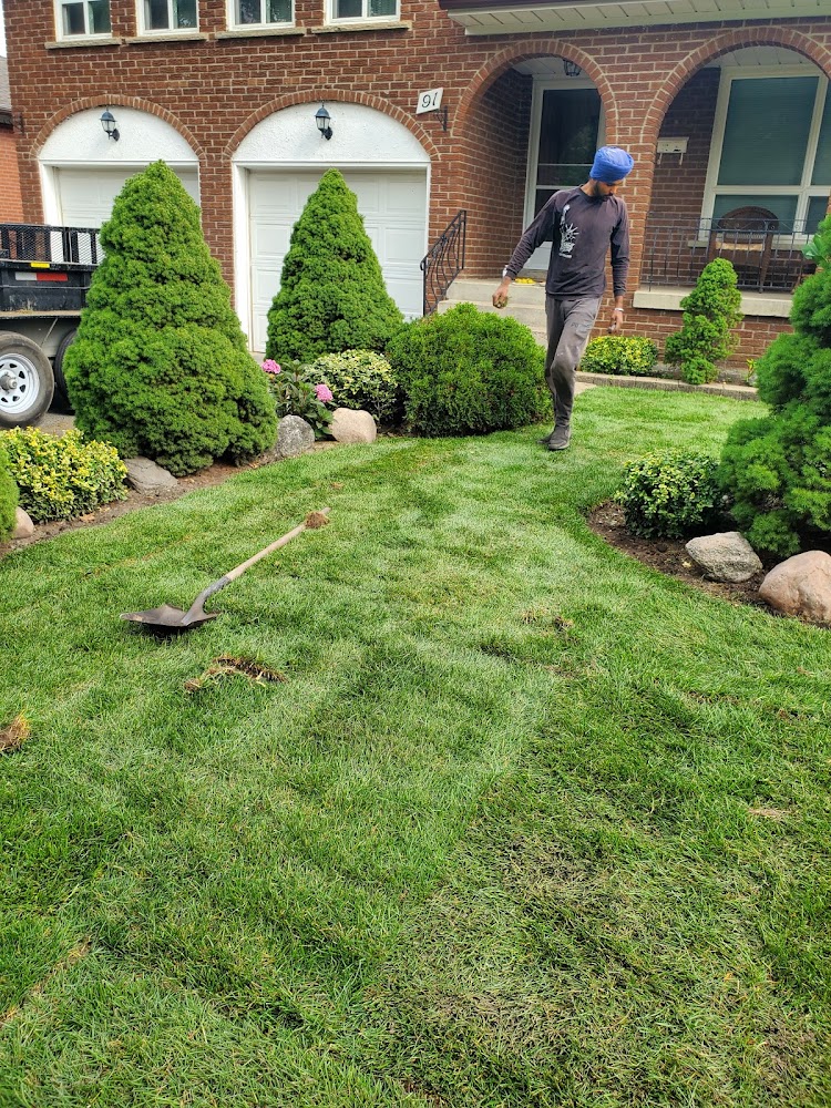 GreenOne Landscaping Ltd