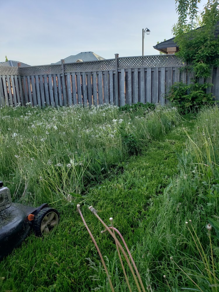 Lawn Core