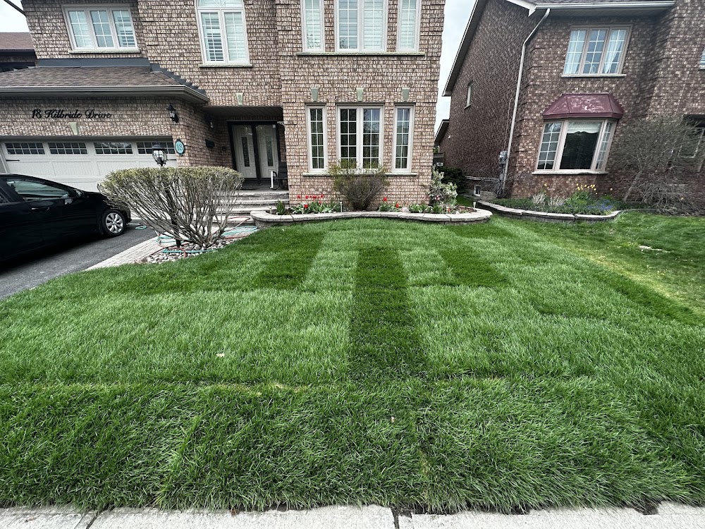 Delma landscapes