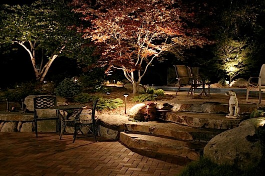 Elm Landscaping
