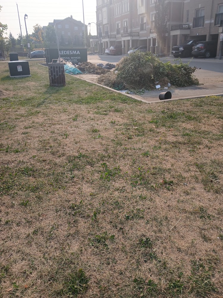 Ledesma Landscaping
