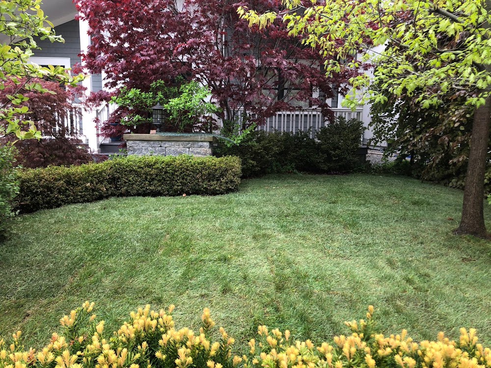 My Landscapers Inc.
