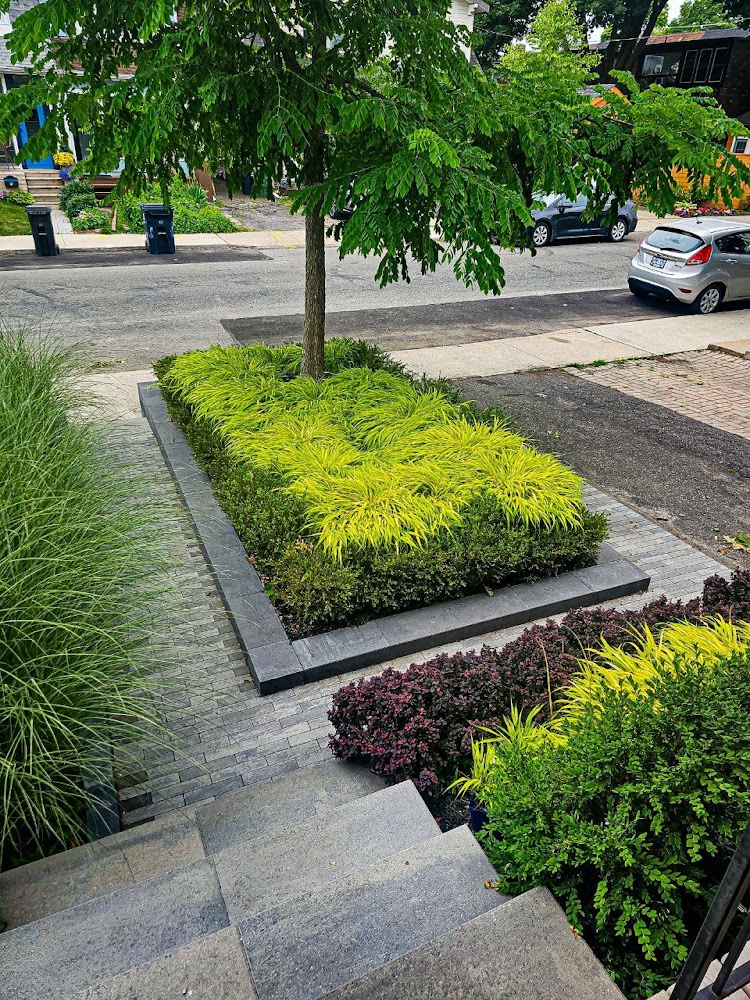 Cactus Landscaping & Construction