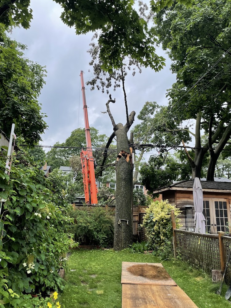 Heritage Tree Care Inc.
