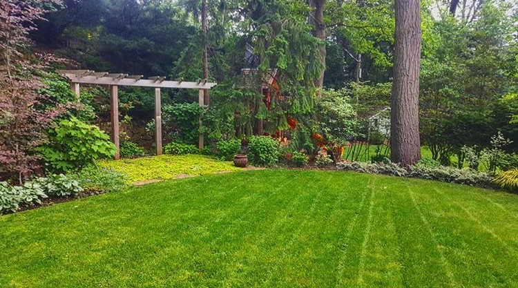 Neighbourhood Landscaping