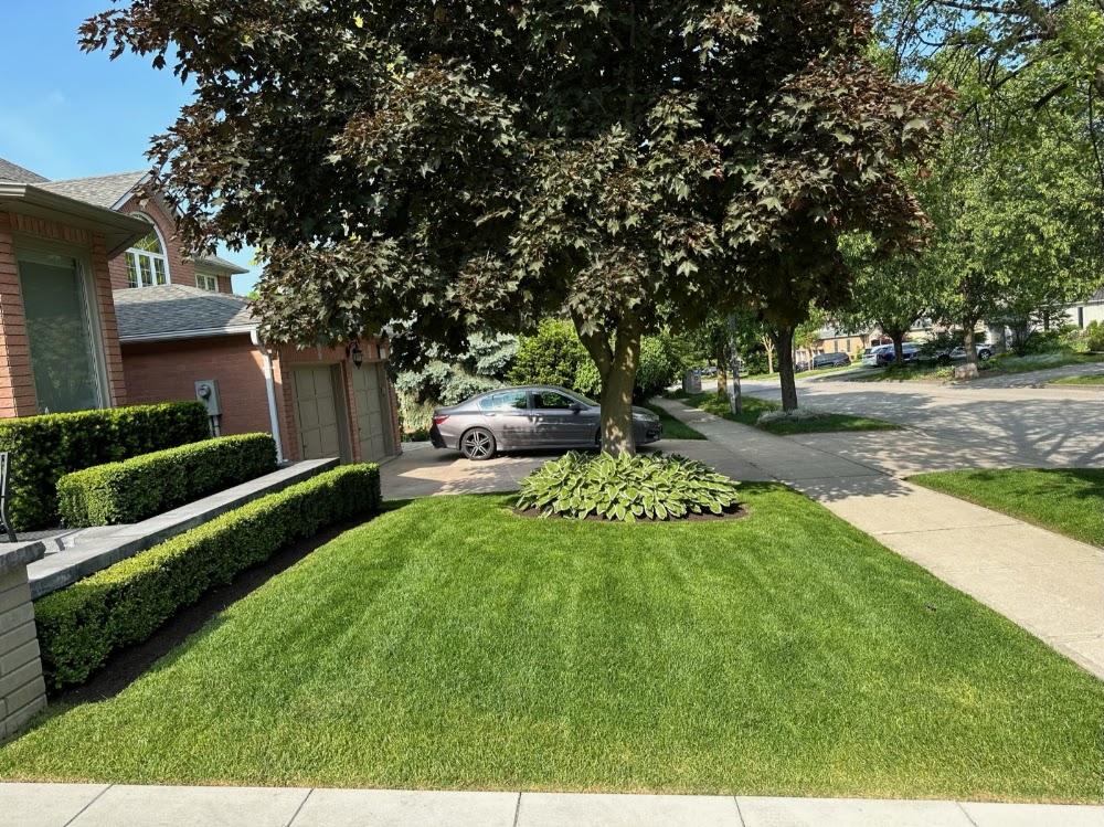Lush Lawncare