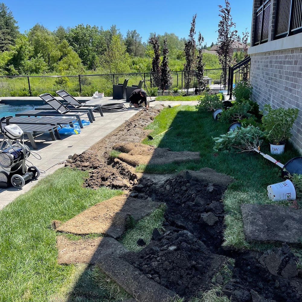 4ever Green Landscaping Services Ltd