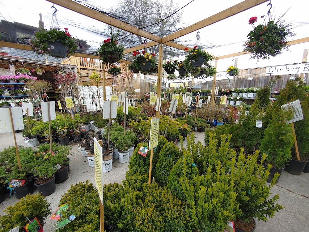East End Garden Centre