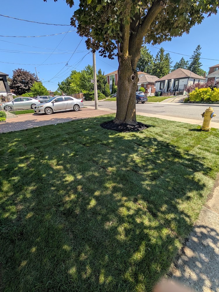 Clover Property Care