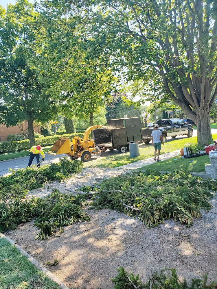 Lawn Wizard Tree & Property Maintenance