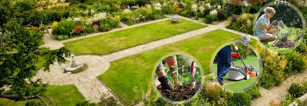 Greenbloom Landscaping