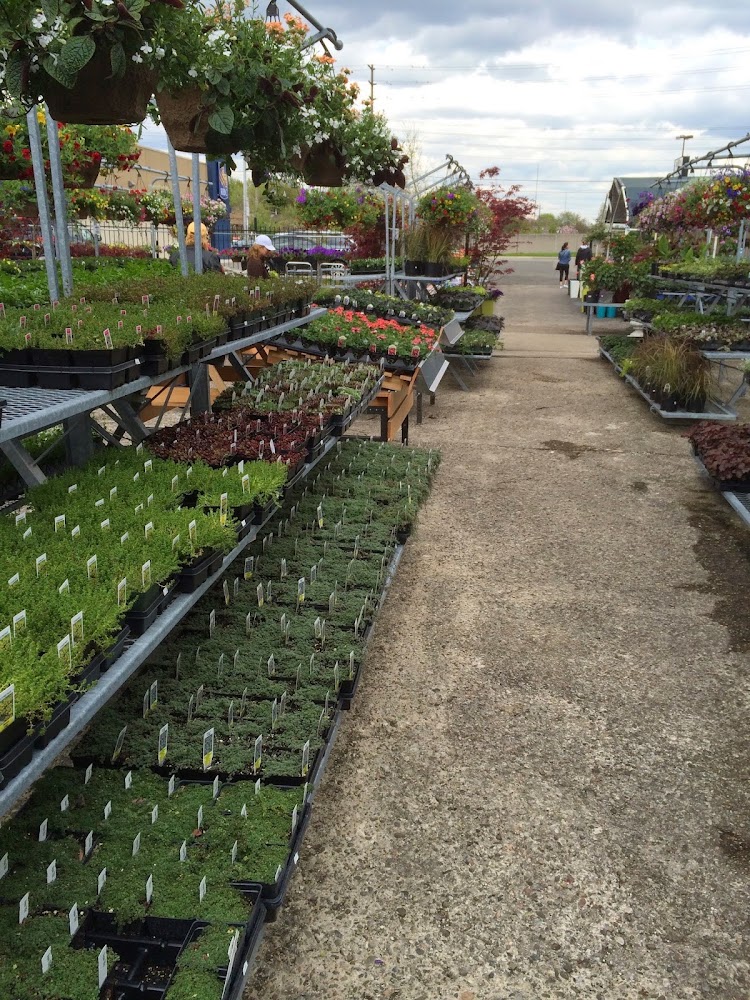 Down 2 Earth Garden Centre
